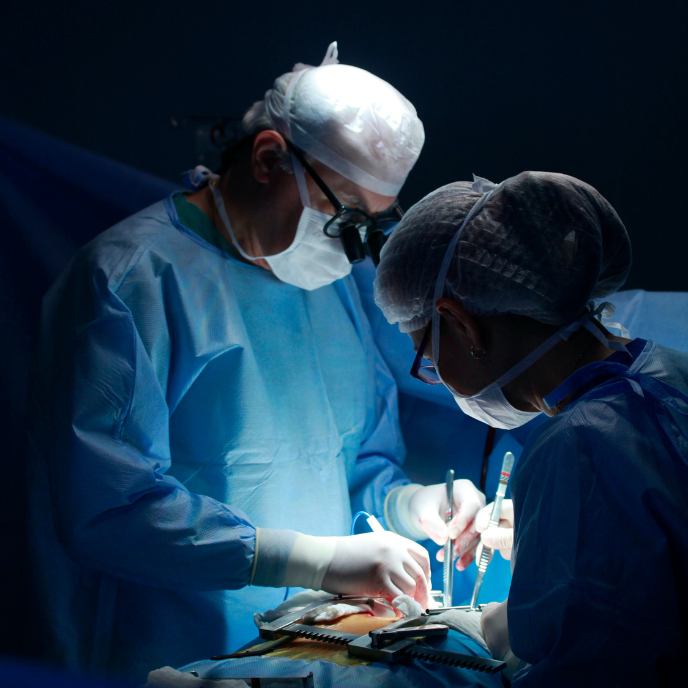 What qualifications should a plastic surgeon have in Ireland